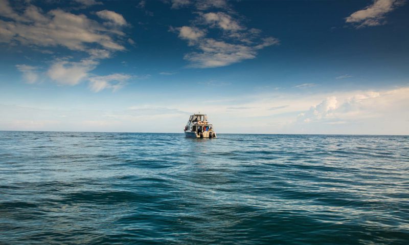 Mahi Mahi Boat 3